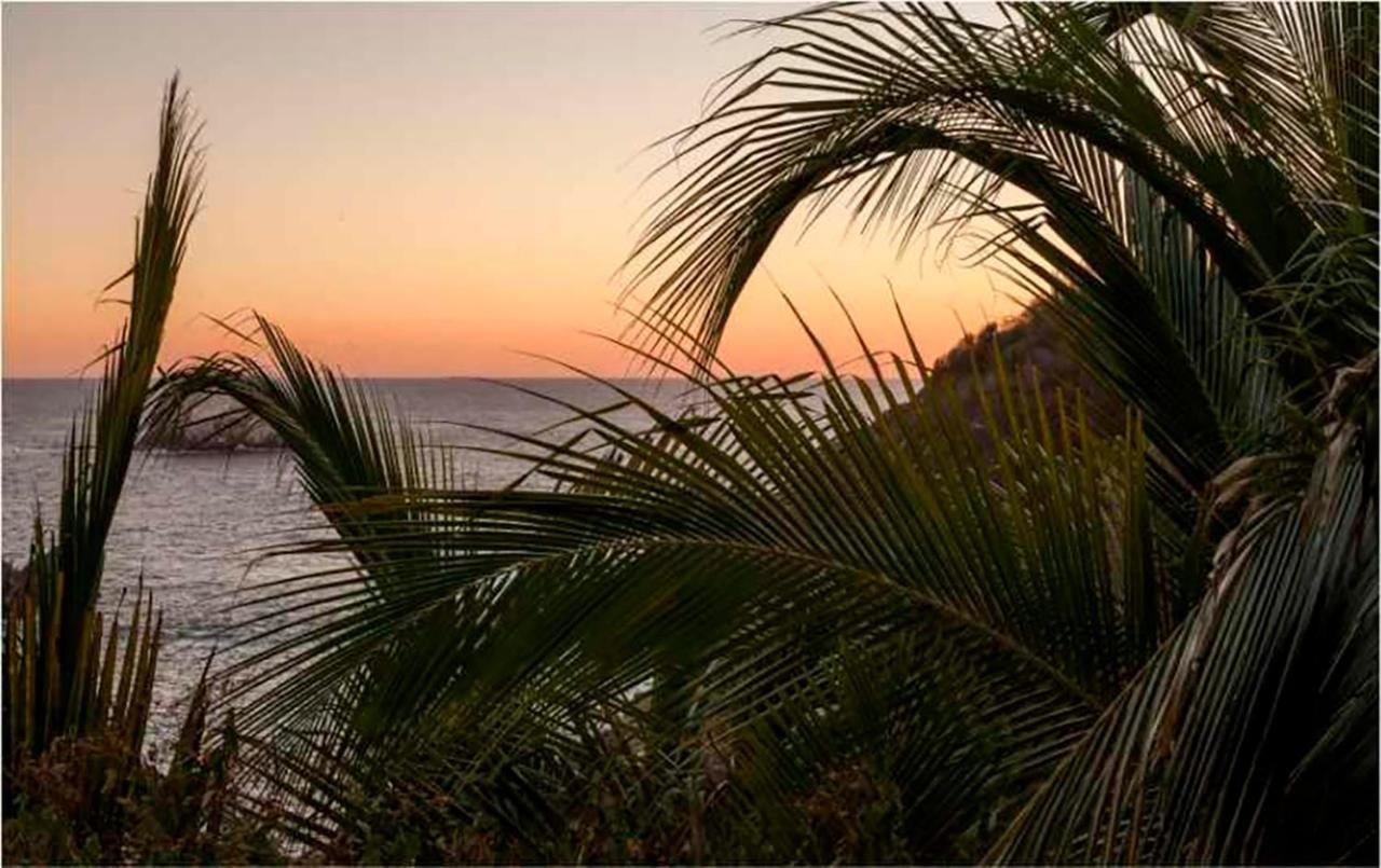 Casa Sol Zipolite Hotel Exterior photo